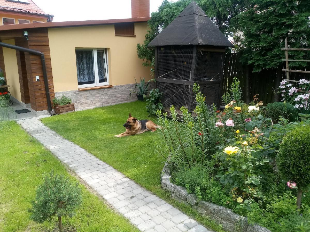 Agroturystyka U Agaty Chęciny Esterno foto