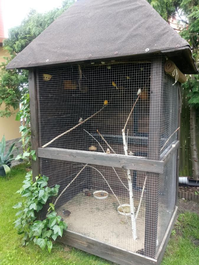 Agroturystyka U Agaty Chęciny Esterno foto