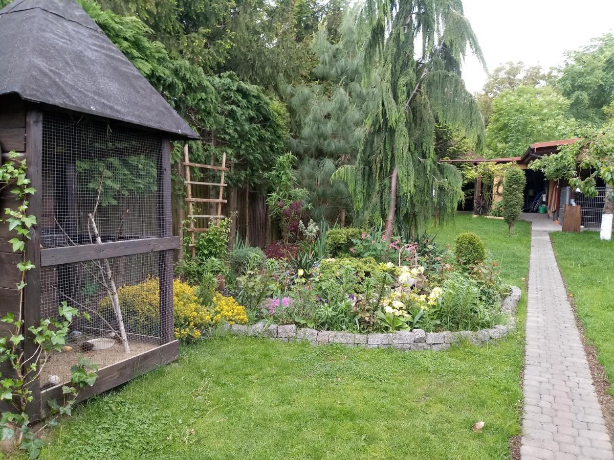 Agroturystyka U Agaty Chęciny Esterno foto
